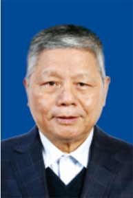 陳政清 陳政清
